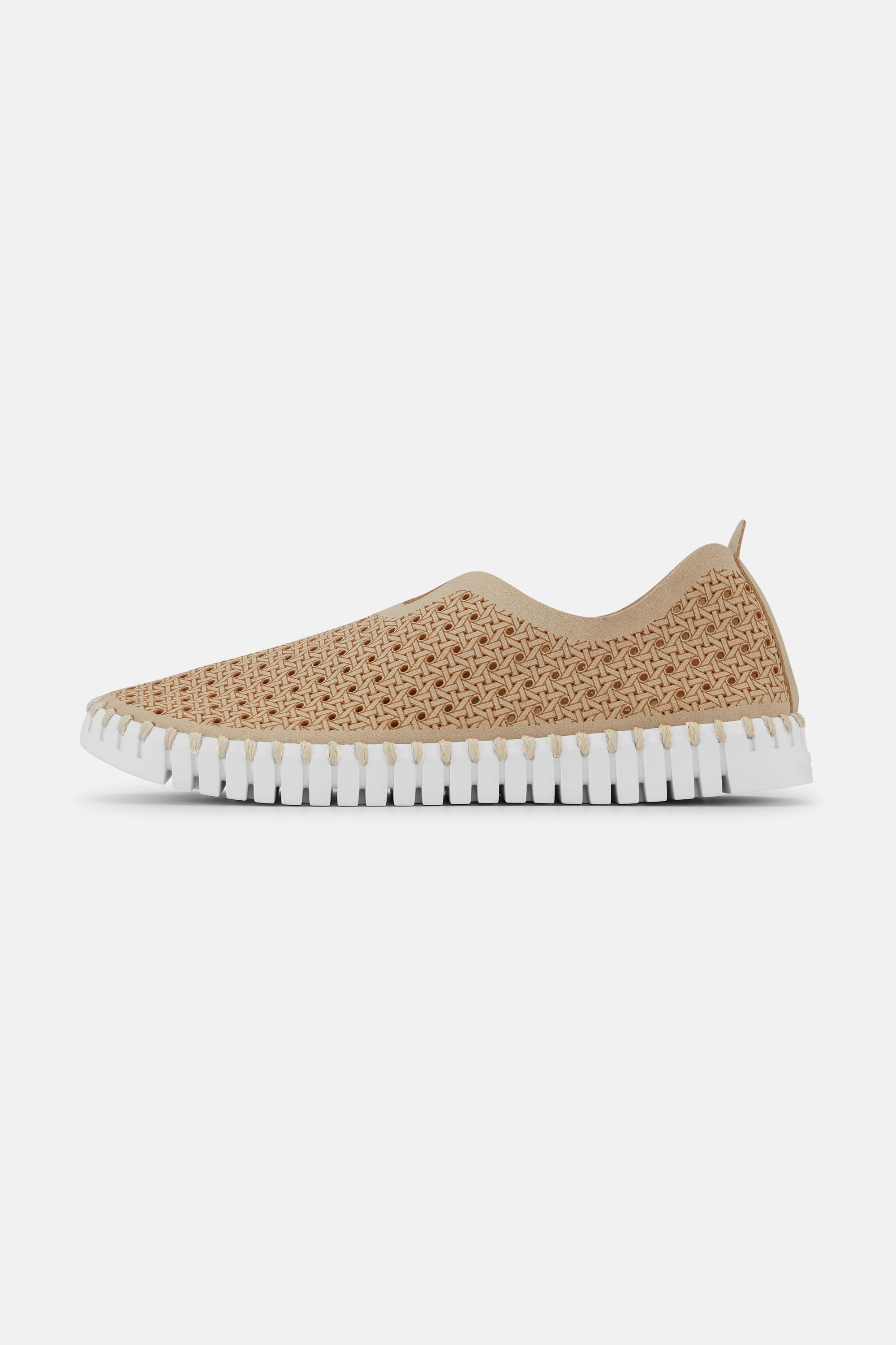 Tulip Chaussures - Latte White